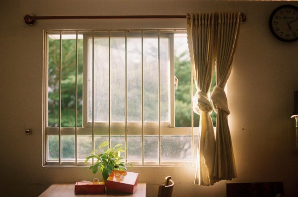 Quels sont les meilleurs conseils pour prendre soin de vos plantes d'intérieur en hiver ?